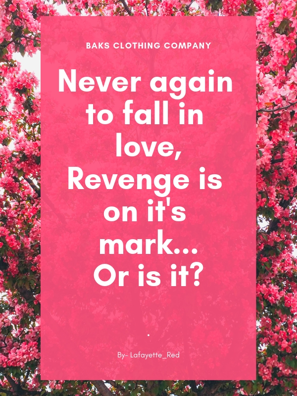 Never Again to Fall in love, Revenge is on it's mark...Or is it? Book