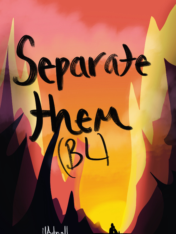 Separate Them (Yaoi/BL) Book