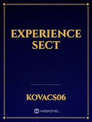 Experience sect Book