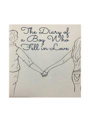 Diary Of A Boy Who Fell In Love Book
