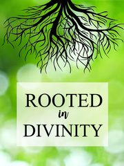 Rooted in Divinity Book