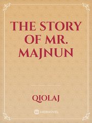 The Story Of Mr. Majnun Book