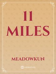 11 miles Book