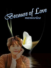 Because of Love ( Memories) Book