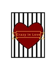 Crazy in Love Book