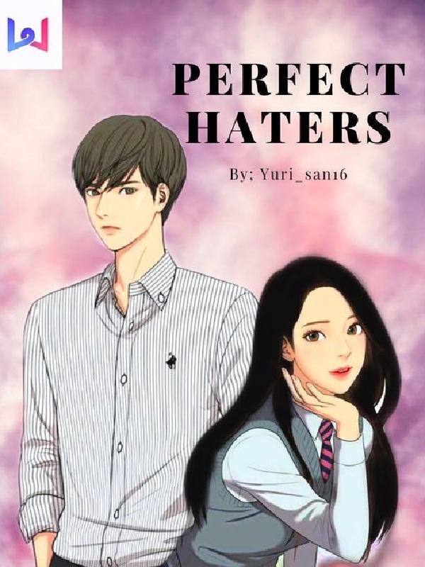 Perfect Haters Book