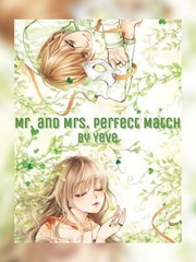 Mr. and Mrs. Perfect Match Book