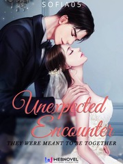 Unexpected encounter:They were meant to be together Book