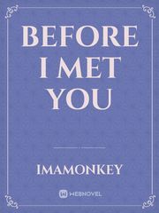 Before I Met You Book