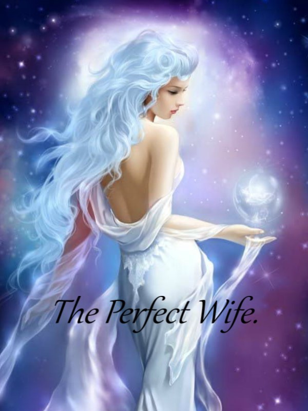 The Perfect Wife. Book