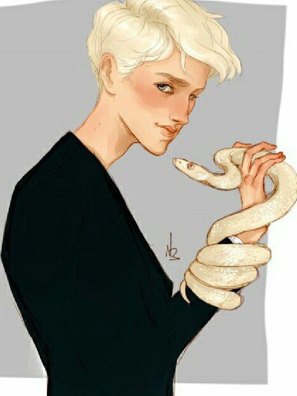 Harry Potter The Malfoy Twin