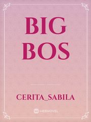 Big Bos Book