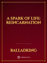A Spark Of Life: Reincarnation Book