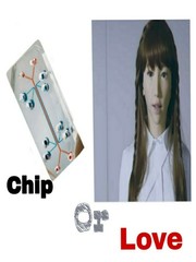 Chip or love Book