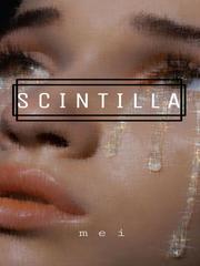 Scintilla Book