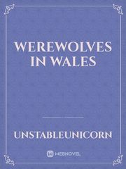Werewolves In Wales Book
