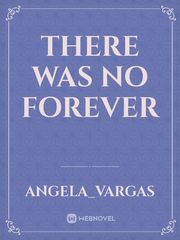 there was no forever Book