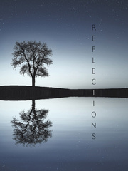 Reflections: Black Mirrors Book