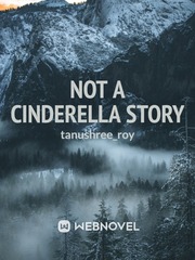 Not A Cinderella story Book