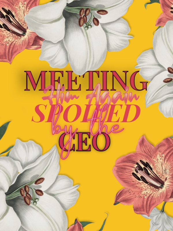 Meeting Him Again: Spoiled By The CEO Book