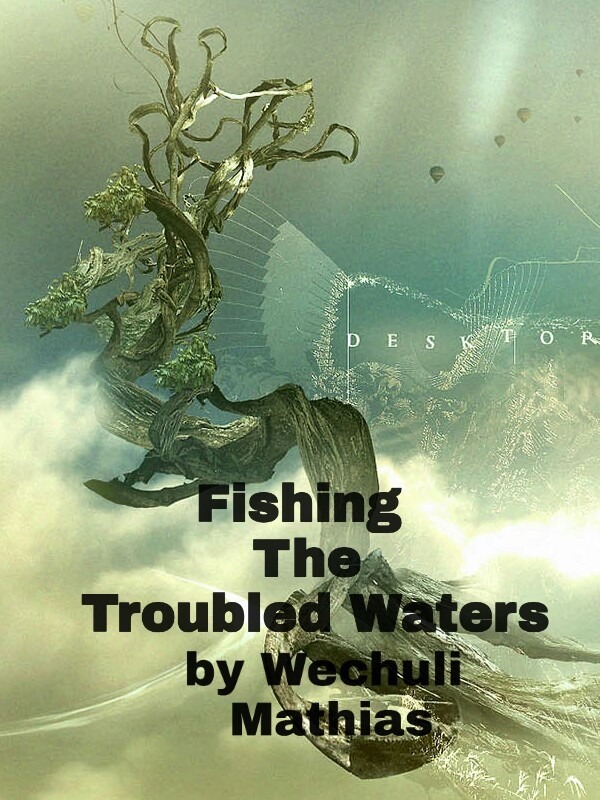 FISHING THE TROUBLED WATERS Book