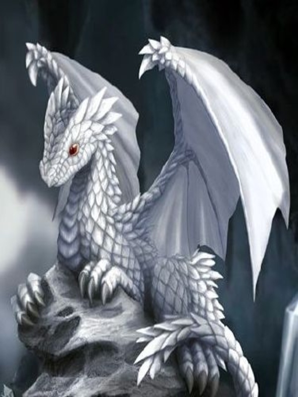 Harry Potter: The Silver Dragon