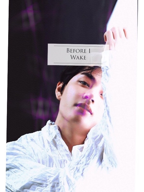 Before I Wake (Kim Teahyung ) Book