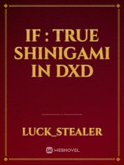 IF : True Shinigami in DxD Book