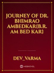 journey of Dr. Bhimrao Ambedkar{B.R. Am bed kar} Book