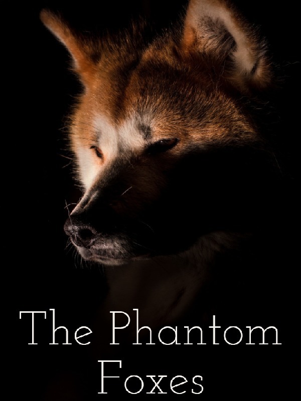 The Phantom Foxes (BTS) Book