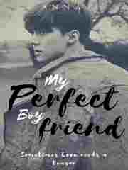 My Perfect Boyfriend Book
