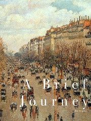 A Brief Journey Book