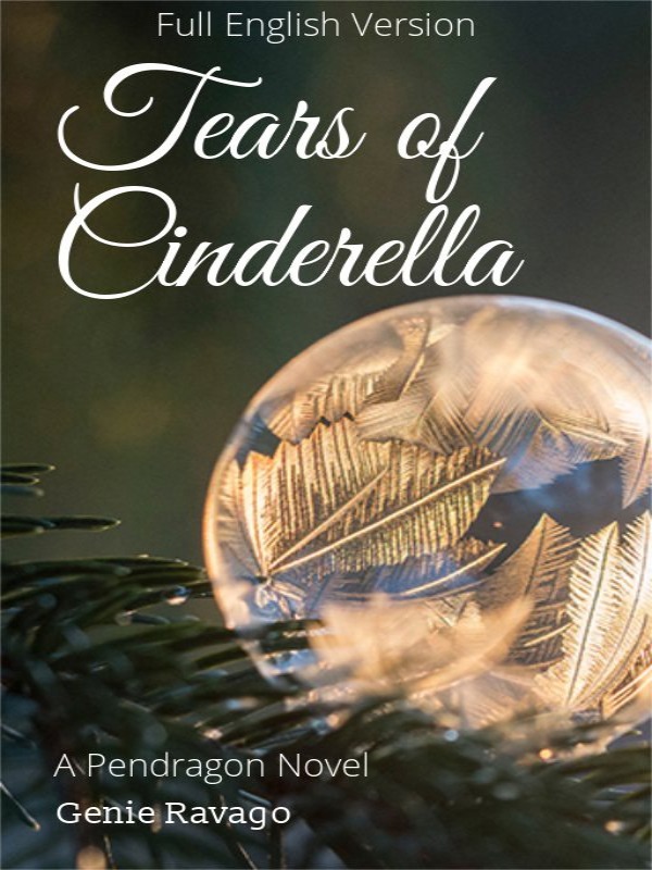 Tears of Cinderella (Full English Version) Book