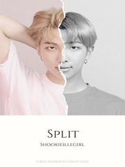Split (BTS Kim Namjoon) Book