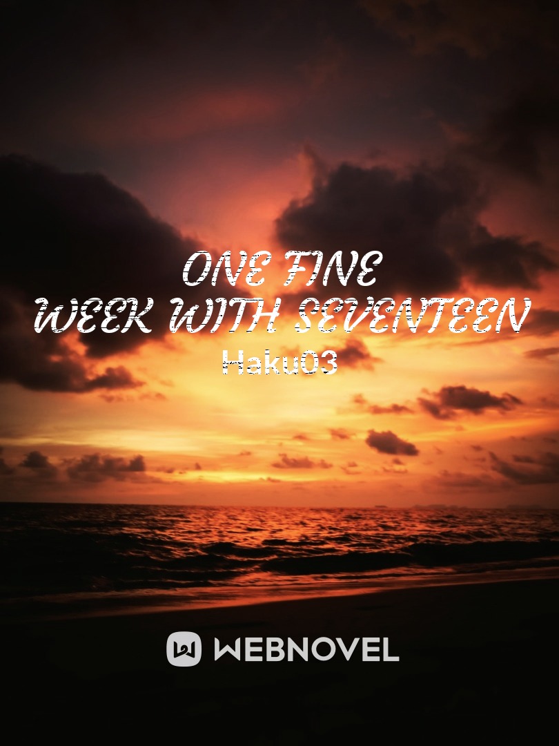 One fine week with Seventeen Book