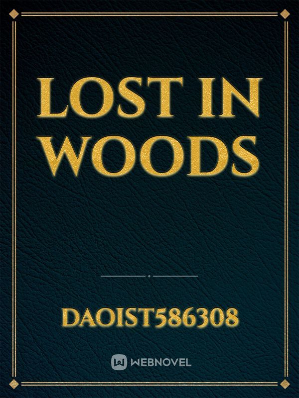 Lost in woods Book