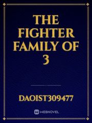 The Fighter Family of 3 Book