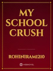 MY SCHOOL CRUSH Book