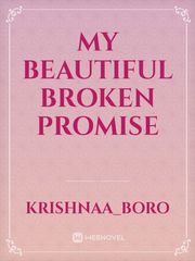 My beautiful broken promise Book