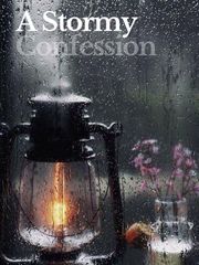 A Stormy Confession Book