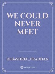 we could never meet Book