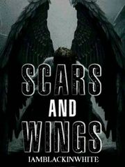 Scars and Wings Book