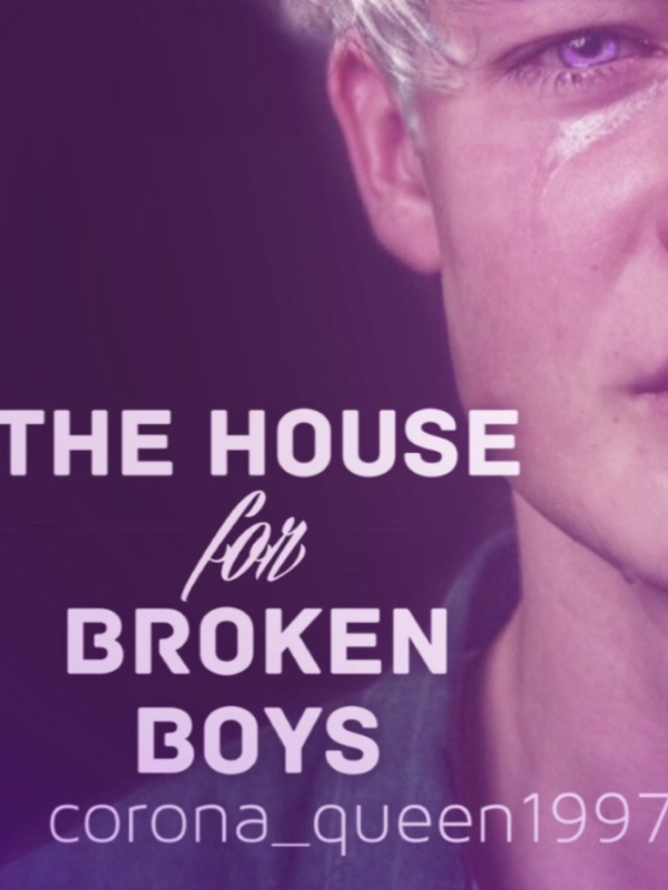 The house for broken boys Book