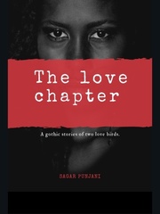 The love chapter Book
