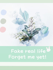 Fake Real Life : Forget me yet Book