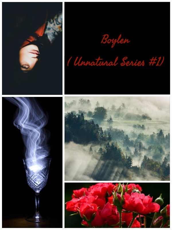 Boylen ( Unnatural Series #1) Book