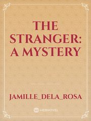The Stranger: A Mystery Book