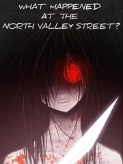 WHAT HAPPENED AT THE NORTH VALLEY STREET? Book