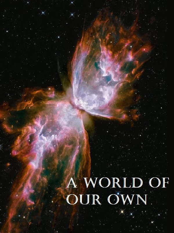 A world of our own Book