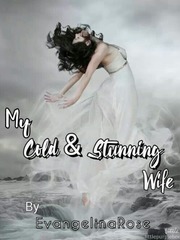 My Cold & Stunning Wife Book